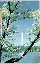 Postcard - The Washington Monument, Washington, D. C. picture
