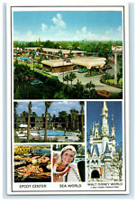 c1950s 8 Minutes to Epcot and Walt Disney World Kissimmee Florida FL Postcard picture