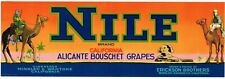 ORIGINAL GRAPE CRATE LABEL ADVERTISING VINTAGE 1950S NILE EGYPT SPHINX PYRAMID 2 picture