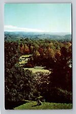 Elkins WV-West Virginia, Mountain State Forest Festival, Vintage Postcard picture