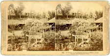 Stereo, Japan, a glimpse of the beautiful gardens of Nikko Vintage Stereo Card - picture
