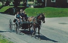 Postcard PA Greetings From The Penna Dutch Country Horse Buggy Pennsylvania picture