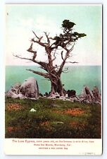 Postcard The Lone Cypress Hotel Del Monte Monterey California CA picture