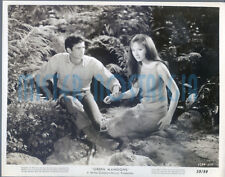 Vintage Photo 1959 Audrey Hepburn Green Mansions Anthony Perkins #215 picture