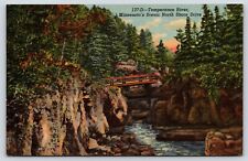 Minnesota North Shore Drive Temperance River Vintage Postcard picture