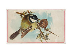 Arbuckles Ariosa Coffee Advertisement Trade Card Bird Series No.64  picture