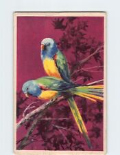 Postcard Parrots Painting picture