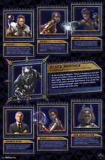 Marvel Cinematic Universe: Black Panther - Bios Poster picture