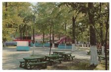 Chicago Illinois c1950's Riverview Amusement Park, closed 1967, Picnic Grove picture