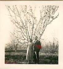 Older Couple in front of a Cherry Blossom Tree Vtg B&W Photo 1930s German Lovely picture