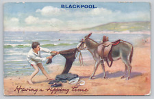 Blackpool Pleasure Beach, Lancashire England, Donkey & Man, 1909 Tuck's Postcard picture