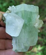 green Apophyllite crystals, minerals, crystals, mineral specimens picture