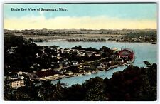 Bird's Eye View of Saugatuck Michigan Divided Back Postcard picture