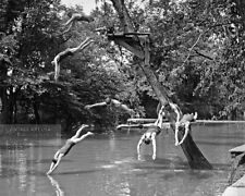 10 Young Men in Swimsuits Diving Off Tree Photo - 1922 Citizen's Military Camp picture