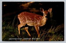 Surprised Fawn Greetings From Crandon Wisconsin Vintage Posted 1966 Postcard picture