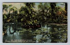 San Diego CA-California, Panama CA Exposition, Botanical Vintage Postcard picture
