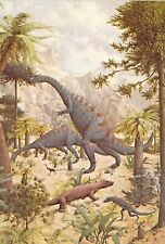 1977 Peabody #1  Museum Reptiles Mural 3 Dinosaur Podokesaurus 4x6 postcard L157 picture