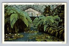 Chicago IL-Illinois, Garfield Park, Interior Conservatory, Vintage Postcard picture