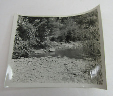 VTG Found Photo Snapshot Nature Gaudalupe River New Braunfels Texas 1950's picture