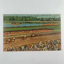 Postcard Florida Hialeah FL Horse Racing Track 1954 Posted Linen picture