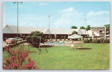 Roadside~Cave City KY~Cave City Motor Court~Pool~Swing Set~Vintage Postcard picture