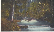 Scenes Near Geneva  Indiana  Flowing Stream in the Woods  Postcard 5113   picture