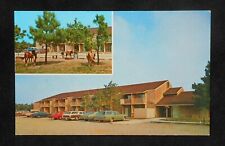 1970s Refuge Motor Inn Beach Road Donald Leonard Horses Old Cars Chincoteague VA picture