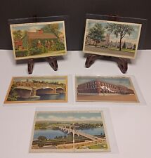 Postcard lot of 5, Sprinfield Mass, 1940-1950's  picture