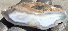 81g Polished Agate Floater Wrap Around Rare Banding Display piece picture