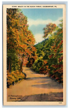 Coudersport Pennsylvania Black Forest Vintage Linen Postcard Posted 1942 picture