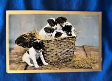 Jack Russell Terrier Antique Post Card - UDB - 1905 - “Just Arrived” picture