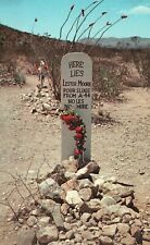 Vintage Postcard Lester Moore Grave Boothill Graveyard Tombstone Arizona AZ picture