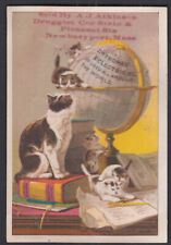 Dr Thomas Electric Oil trade card 1880s cats & globe Atkinson Newburyport MA picture