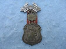 Fraternal Medal Sons & Daughters of Liberty with Flag National Council DOFL 1907 picture