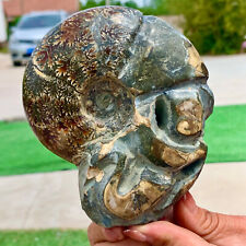 1.61LB  Rare Natural Tentacle Ammonite FossilSpecimen Shell Healing Madagascar picture