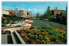 c1960's Flower Beds Lighted at Night Grand Junction Colorado CO Postcard picture
