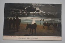 Beach Scene at Katwijk aan Zee (South Holland in Netherlands) Postcard 1906 picture