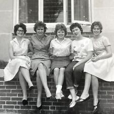 A6 Photograph 1961 Group College Women Posing Dresses Legs Beautiful   picture