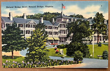 Natural Bridge Virginia Hotel Main Street Postcard c1930 picture