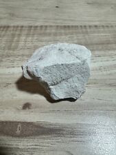 Jerusalem Stone Western Wall Wailing Wall Holy Land White Miracle Little 50.6gr picture