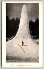 Gray's Inn Fountain  Jackson  New Hampshire  Postcard  1910 picture