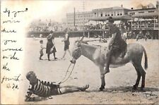 Postcard~Atlantic City New Jersey~Woman on a Donkey~Three of a Kind~c1906 picture