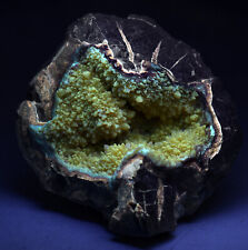 Septarian Nodule, fluorescent. Kane County, Utah. 3.7 Pounds. picture