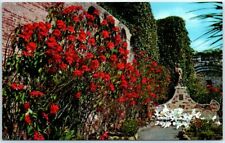 Poinsettias in front of Campanario - Mission San Juan Capistrano, California picture