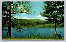 Greetings from Bemus Point New York NY Vintage Postcard Scenic View Unused picture