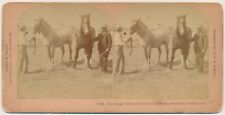 COLORADO SV - Pueblo - State Fair Horses - BW Kilburn c1907 picture
