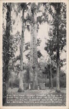 1955 RPPC Sanford,FL The 