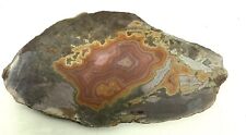 Montana Dryhead Agate 2.5 X 4” Slice 55g Old Stock Deep Reds & Oranges Cabbing picture