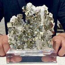 1.65LB Natural Chalcopyrite Calci Crystal ClustRare Mineral Specimen picture