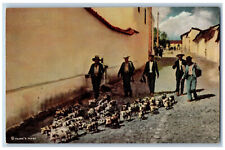 Chichicastenango Guatemala Postcard Little Pigs Going Out To Market c1950's picture